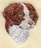 Brittany Spaniel Head