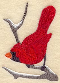 Winter Cardinal