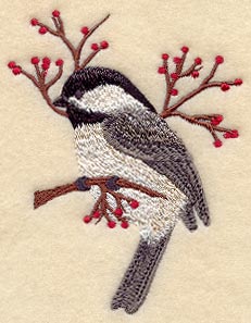 Winter Chickadee