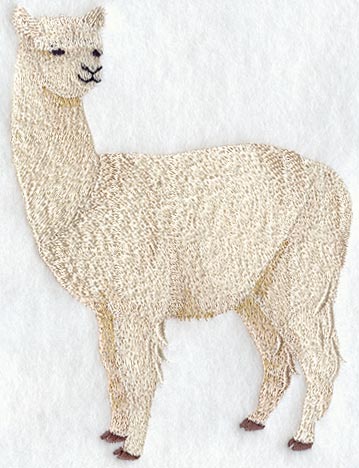 Alpaca