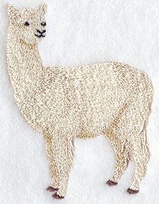 Alpaca