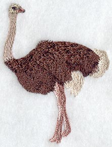 Ostrich