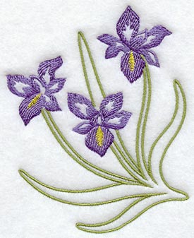 Iris Wedge - Lg (Mirror)