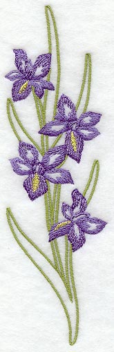 Iris Wedge Placket - Lg (Mirror)