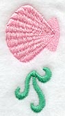Seashell Border