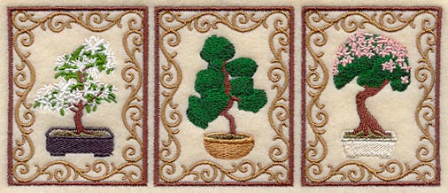 Bonsai Tree Triptych