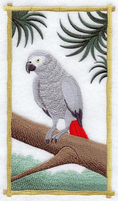 African Grey Panel