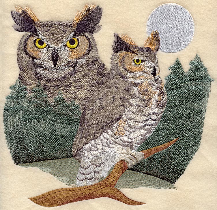 Great Horned Owl Scene