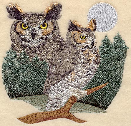 Great Horned Owl Scene
