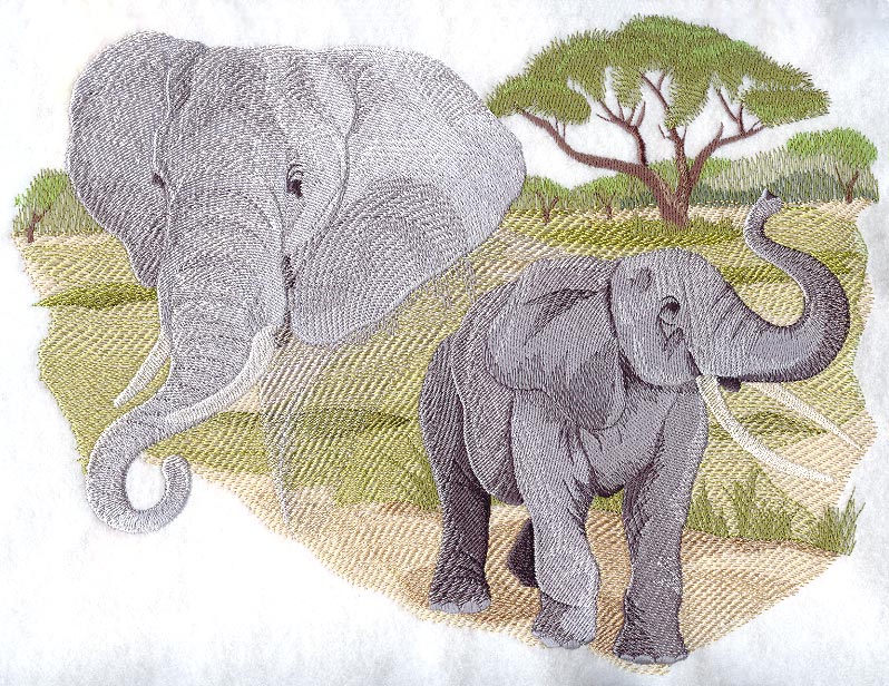 Spirit of the Elephant