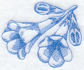 Bluebells (Toile)