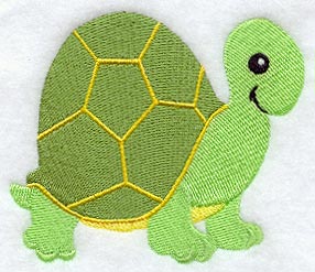 Baby Turtle