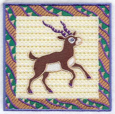 India Black Buck Square