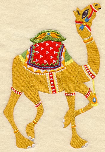 India Camel