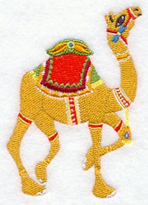 India Camel