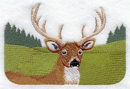 Whitetail Buck and Trees