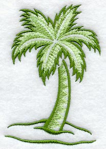 Palm Tree