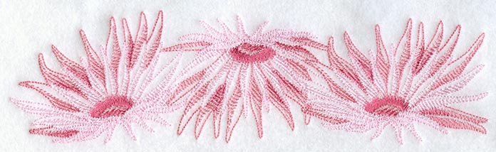 Daisy Border