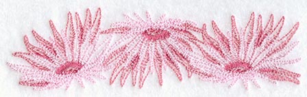 Daisy Border