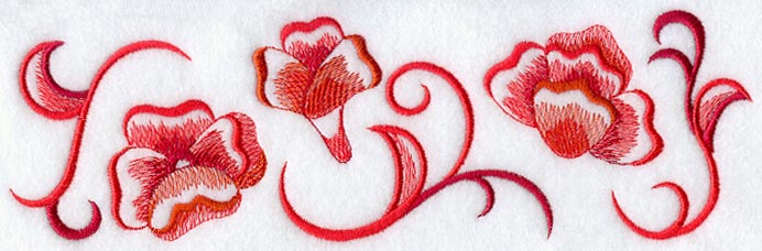 Poppy Border
