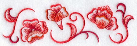 Poppy Border