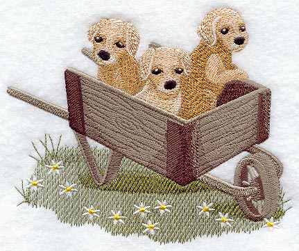 Country-Style Puppies