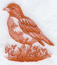 Robin (Toile)