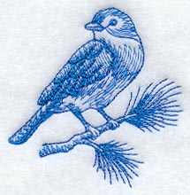 Bluebird (Toile)