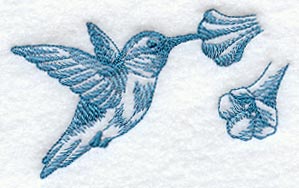 Hummingbird (Toile)
