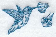 Hummingbird (Toile)