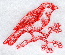 Scarlet Tanager (Toile)