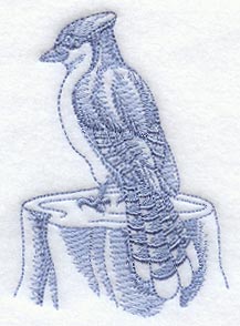 Blue Jay (Toile)