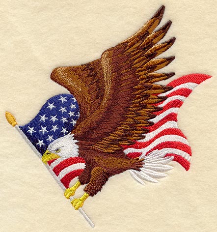 Flying Eagle and US Flag