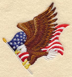 Flying Eagle and US Flag