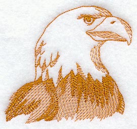 Eagle Head (Toile)