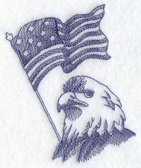Eagle Head and US Flag (Toile)
