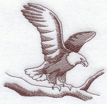 Eagle Landing (Toile)