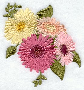 Gerbera Daisy