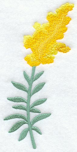 Goldenrod (Long-Stemmed)