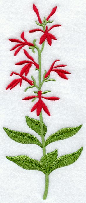 Cardinal Flower (Long-Stemmed)
