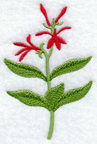 Cardinal Flower