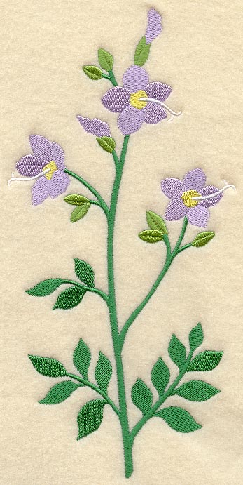 Jacob's Ladder (Long-Stemmed)