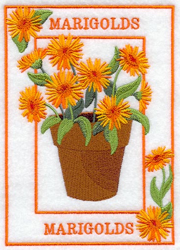 Potted Marigolds Medley