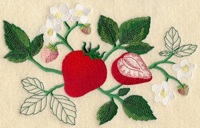 Strawberry Botanical