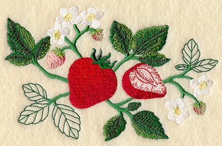 Strawberry Botanical