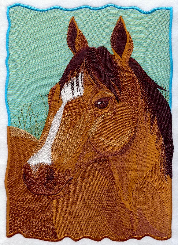 Quarter Horse Portrait