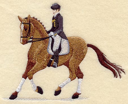 Show Horse