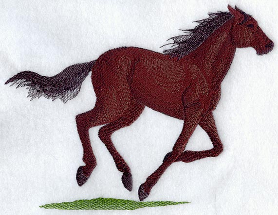 Thoroughbred Horse