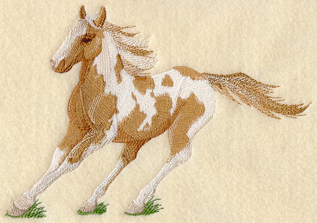 Paint Horse