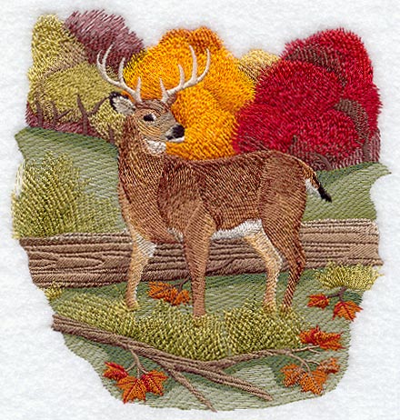 Seasons Whitetail Deer - Autumn